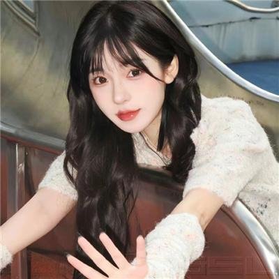 完美犯罪海报