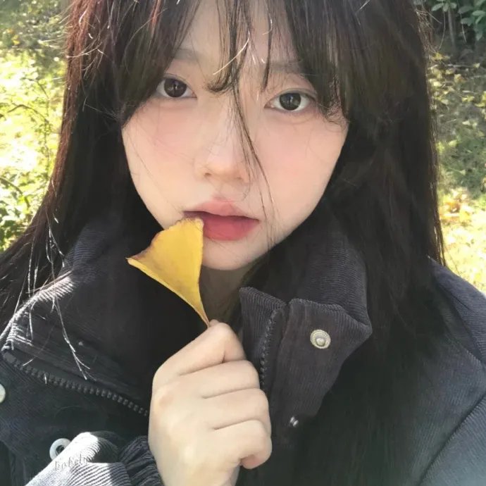土豆的美国梦海报