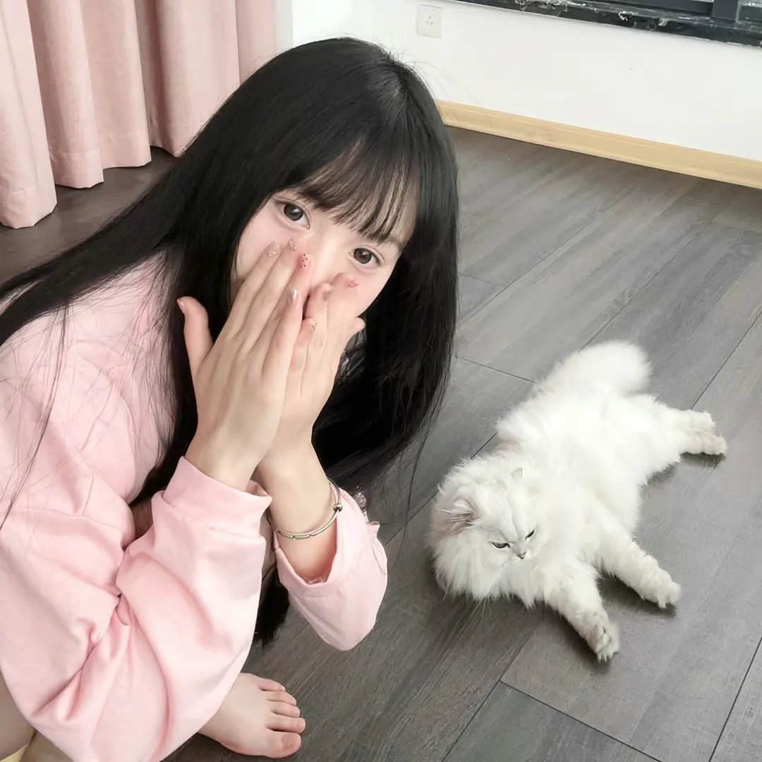 顶硬上海报